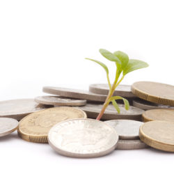 financial growth, a pile of coins and a seedling growing from them