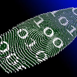 Blockchain fingerprint