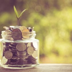 Jar of equal sized coins with plant growing in the middle.