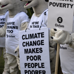 Polar bears holding signs that say "Climate change makes poor people poorer" and "Fight climate poverty."