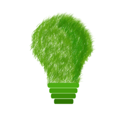 Lightbulb made of grass (to depict sustainability).