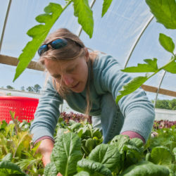 Woman planting food