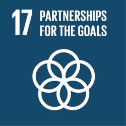 SDG 17 Partnerships for the Goals