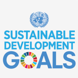 Logo for the SDGs