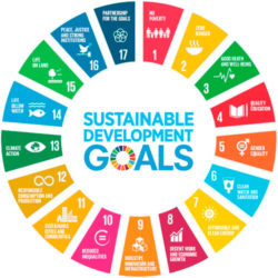 Sustainable development goals in a circle