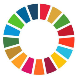 Sustainable Development Goals circle