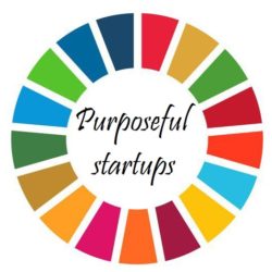 SDG circle and text reading purposeful startups